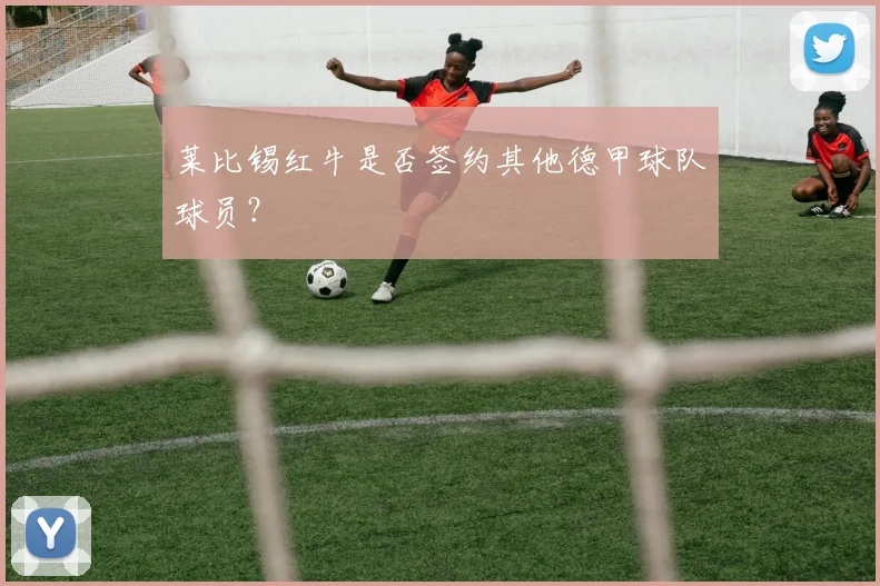 莱比锡红牛是否签约其他德甲球队球员？