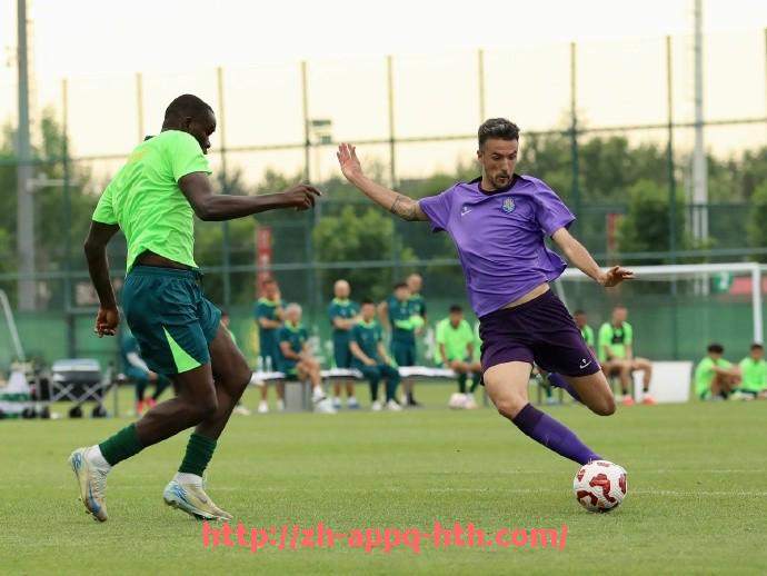 华体会hth官方网站下载-德甲联赛中球队解散的案例及背后原因探讨